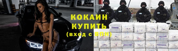 гидра Осинники