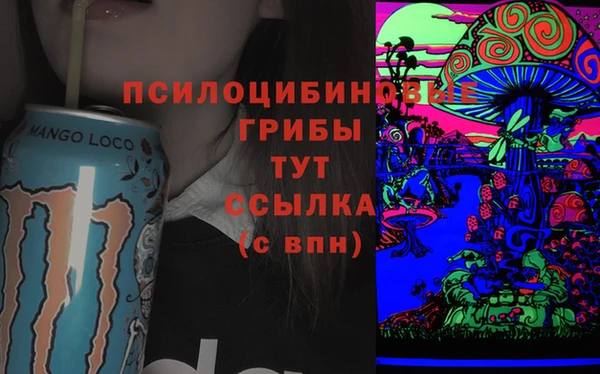 гидра Осташков