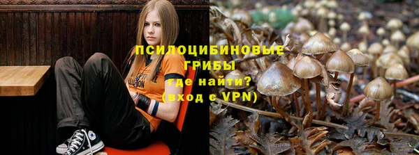 гидра Осташков