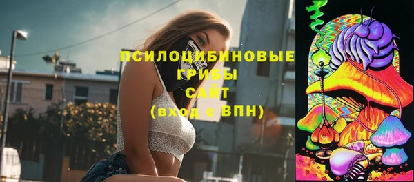 гидра Осташков