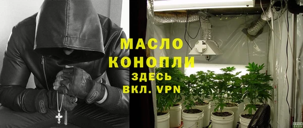 гидра Осинники