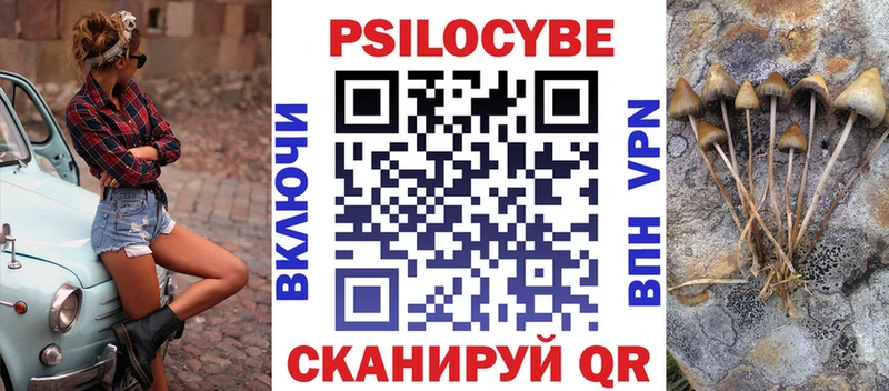 хочу   Конаково  OMG вход  Псилоцибиновые грибы мицелий 