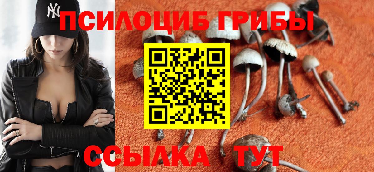 Псилоцибиновые грибы MAGIC MUSHROOMS  Псилоцибиновые грибы ЛСД  Вход с VPN  Конаково 