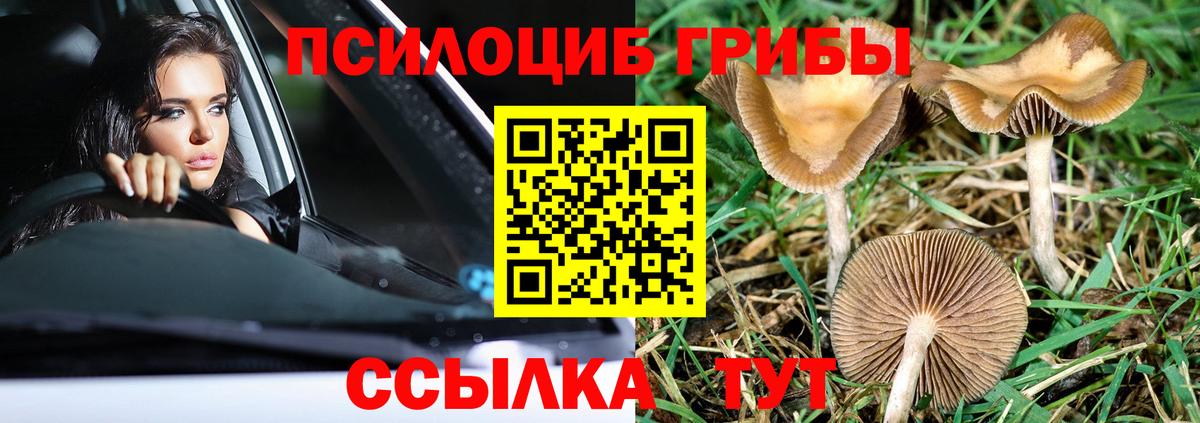 Меф  КОКАИН  25-NBOMe  Плюхи  Бошки Шишки  Конаково  Вход с VPN 